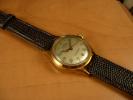 FS: DELBANA Vintage Automatic FS: DELBANA Vintage Automatic